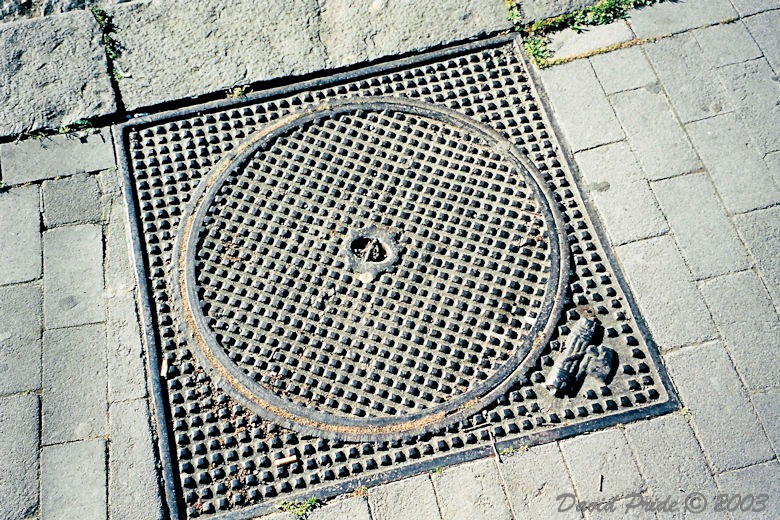 Fascist Symbol