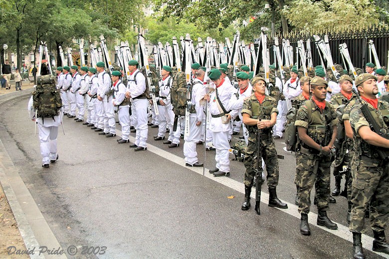 Mountain Troops
