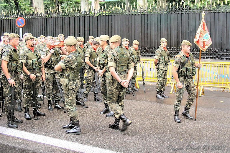 Mountain Brigade