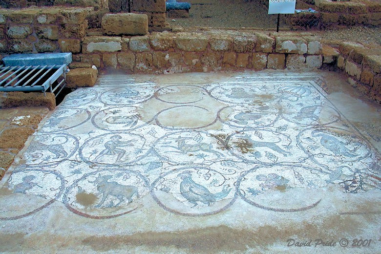 Tile Floor