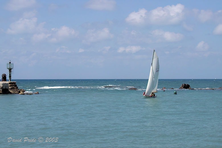 Old Jaffa Marina