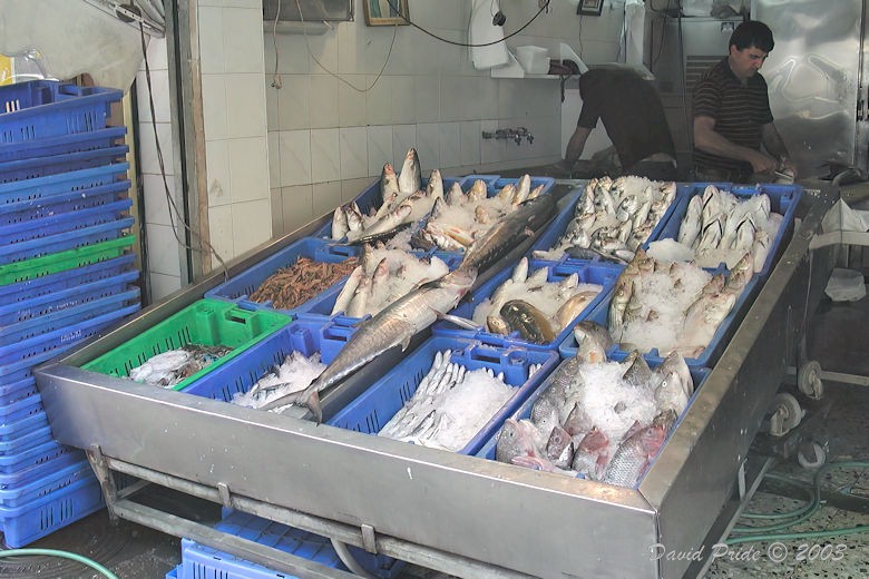 Fish Shop