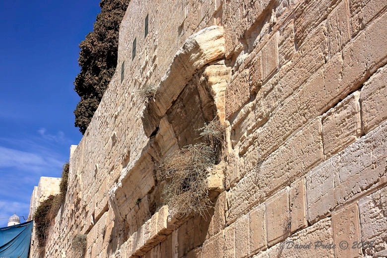 Robinson's Arch