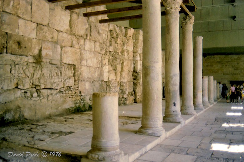 Cardo Maximus
