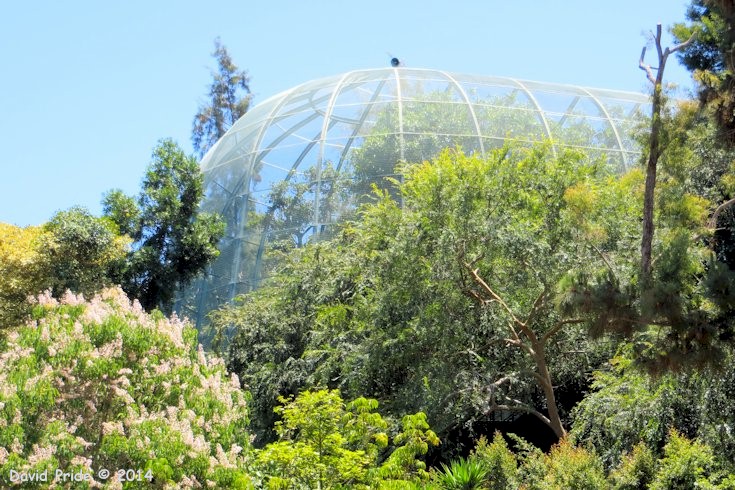 Owens Aviary