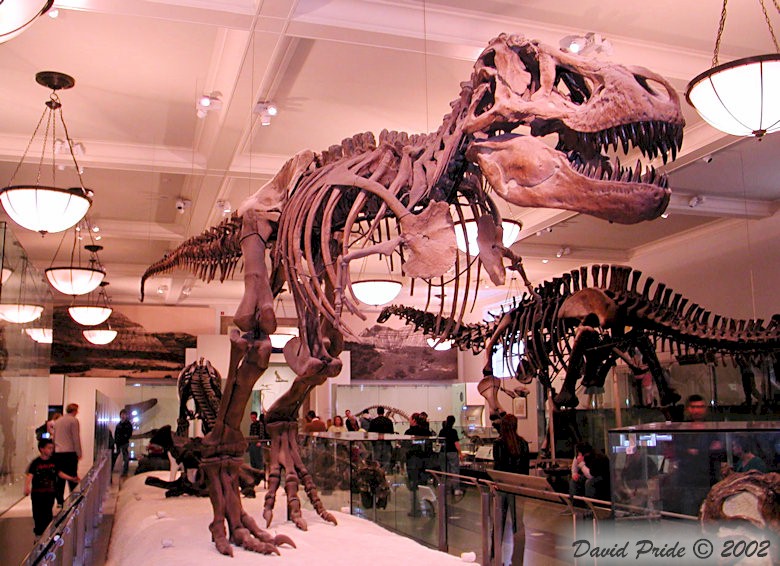T-Rex