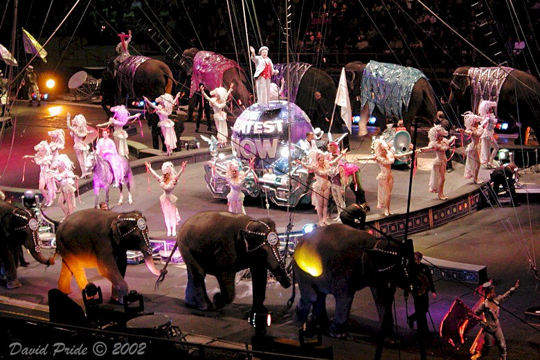 Ringling Brothers and Barnum & Bailey Circus
