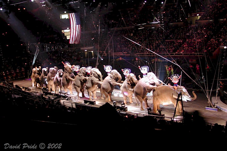 Ringling Brothers and Barnum & Bailey Circus